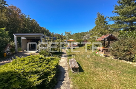 opereta_carousel_photo_6