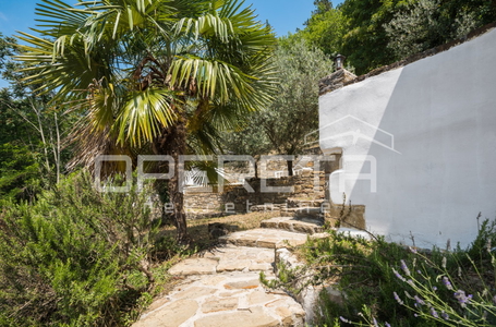 opereta_carousel_photo_8