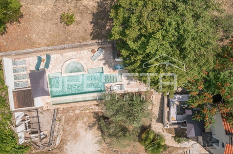 opereta_carousel_photo_5