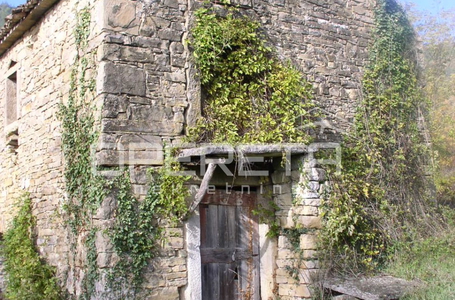 opereta_carousel_photo_2