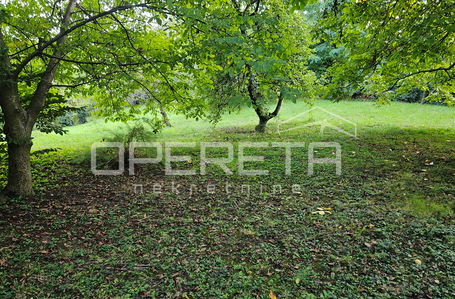 opereta_carousel_photo_8