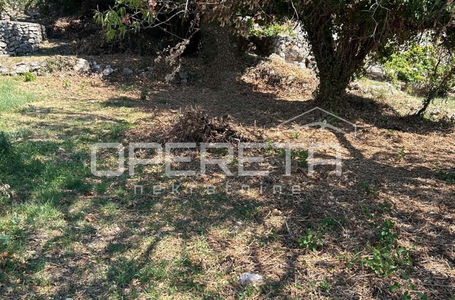 opereta_carousel_photo_6