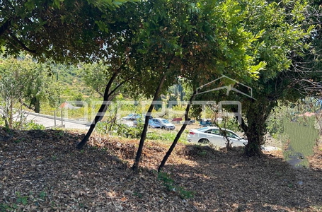 opereta_carousel_photo_9