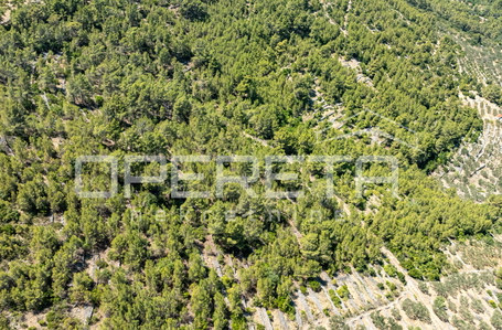 opereta_carousel_photo_3