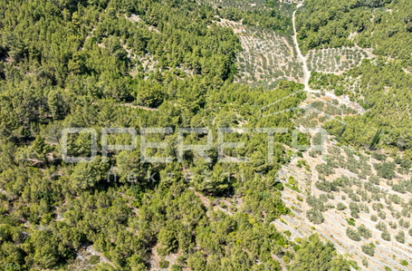 opereta_carousel_photo_5