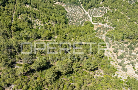 opereta_carousel_photo_7