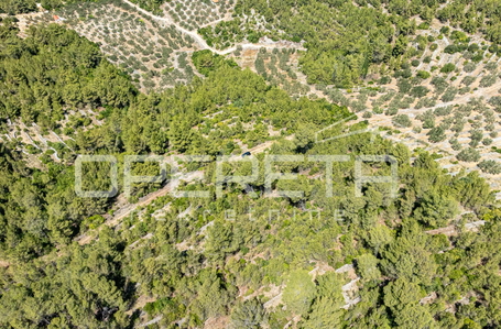 opereta_carousel_photo_9