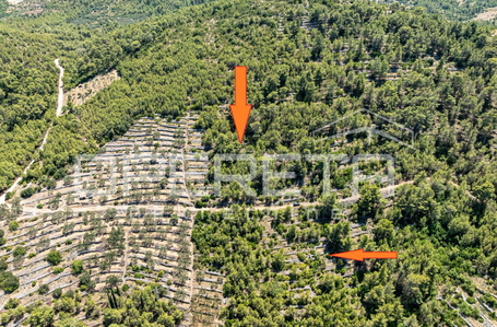 opereta_carousel_photo_2