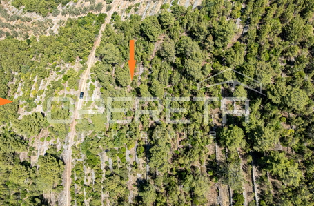 opereta_carousel_photo_6