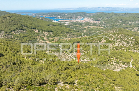 opereta_carousel_photo_8