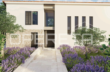 opereta_carousel_photo_2