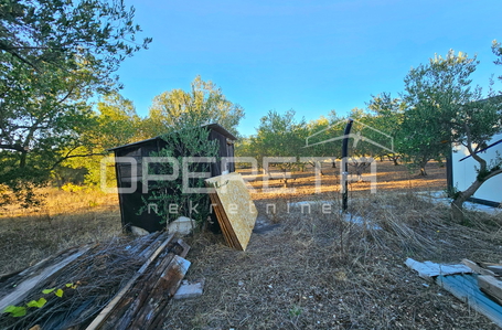 opereta_carousel_photo_9