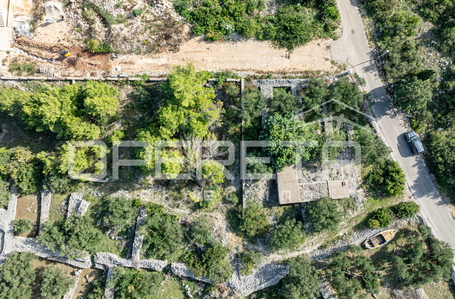 opereta_carousel_photo_2