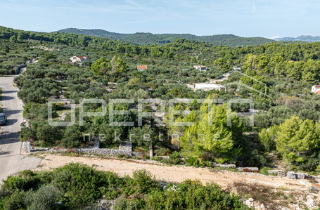 opereta_carousel_photo_9