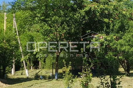 opereta_carousel_photo_3