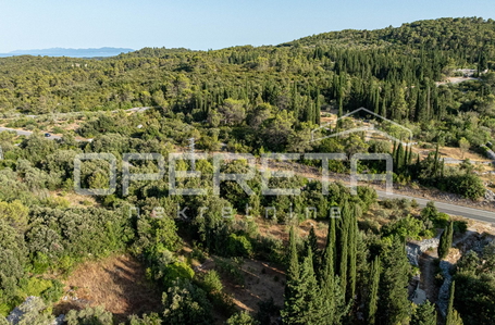 opereta_carousel_photo_7