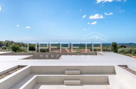 opereta_carousel_photo_7