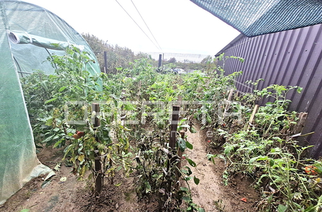 opereta_carousel_photo_8