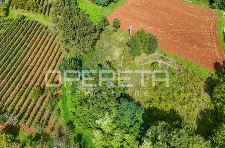 opereta_carousel_photo_4