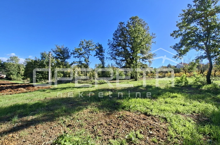 opereta_carousel_photo_3