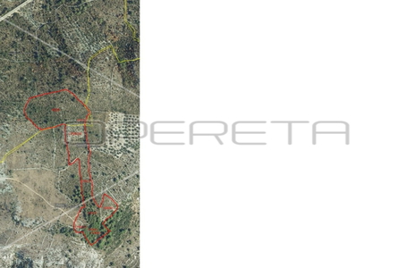 opereta_carousel_photo_5