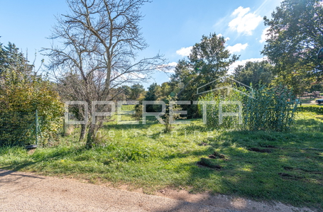 opereta_carousel_photo_5