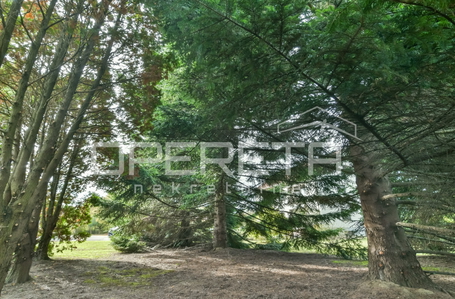 opereta_carousel_photo_7