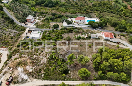 opereta_carousel_photo_3