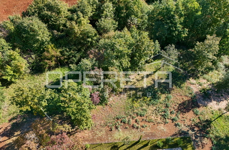 opereta_carousel_photo_2