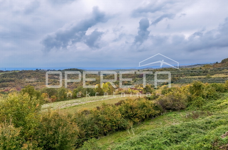 opereta_carousel_photo_2