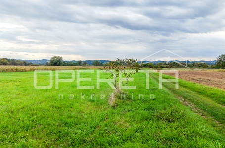 opereta_carousel_photo_4