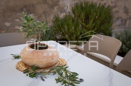 opereta_carousel_photo_5