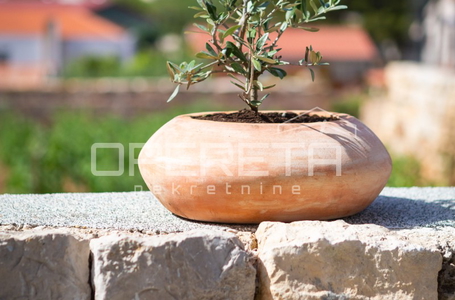 opereta_carousel_photo_7