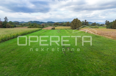 opereta_carousel_photo_4