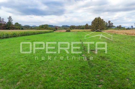 opereta_carousel_photo_5