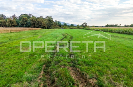 opereta_carousel_photo_6