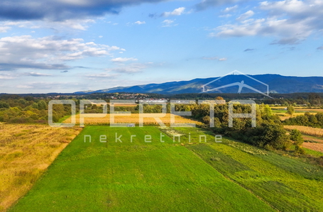 opereta_carousel_photo_2