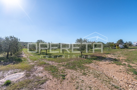 opereta_carousel_photo_8