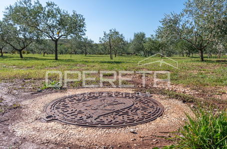 opereta_carousel_photo_6