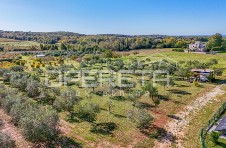 opereta_carousel_photo_9