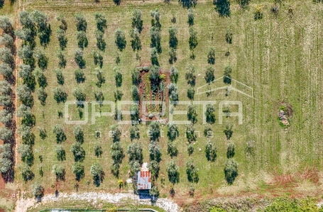 opereta_carousel_photo_3