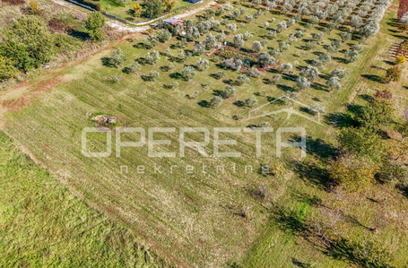 opereta_carousel_photo_2