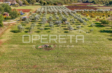 opereta_carousel_photo_4