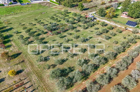 opereta_carousel_photo_5