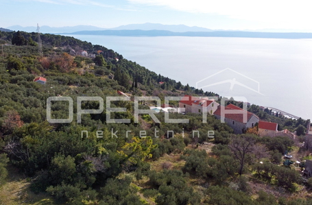 opereta_carousel_photo_5