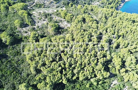 opereta_carousel_photo_2