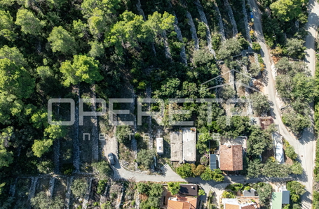 opereta_carousel_photo_6