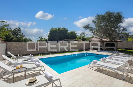 opereta_carousel_photo_7