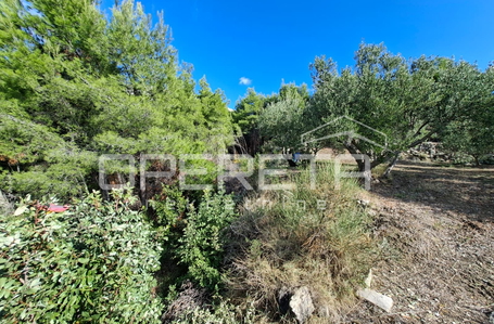 opereta_carousel_photo_5