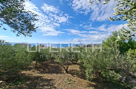 opereta_carousel_photo_2